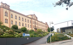 Kollegium Aloisianum