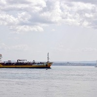 Bild von Markus Kammermann auf Pixabay